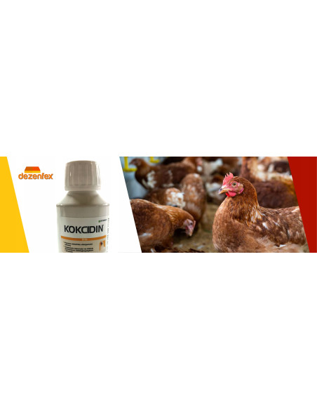 KOKCIDIN 100 ml  płyn na kokcydiozę przeciw kokcydiozie na kokcydia